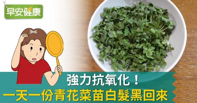 強力抗氧化！一天一份青花菜苗白髮黑回來