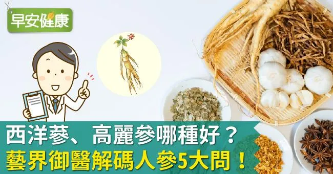 西洋蔘、高麗參哪種好？藝界御醫解碼人參5大問！