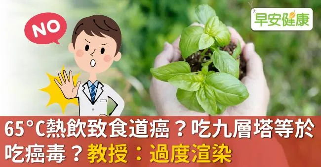 65°C熱飲致食道癌？吃九層塔等於吃癌毒？教授：過度渲染