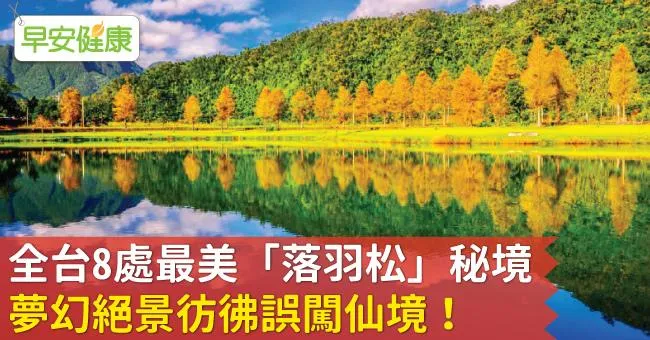全台8處最美「落羽松」秘境，夢幻絕景彷彿誤闖仙境！