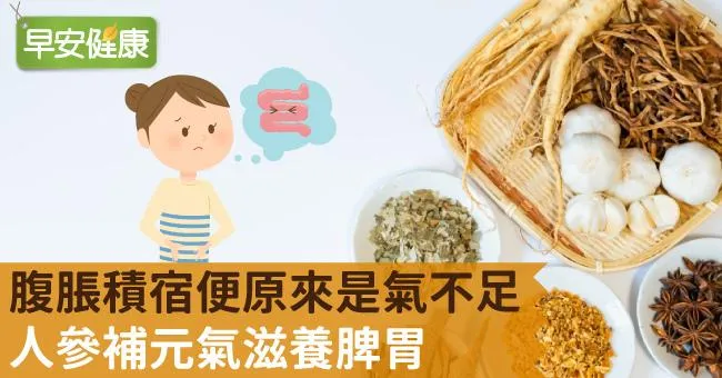 腹脹積宿便原來是氣不足！人參補元氣滋養脾胃