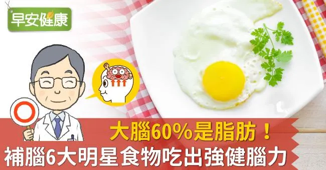 大腦60％是脂肪！補腦6大明星食物吃出強健腦力