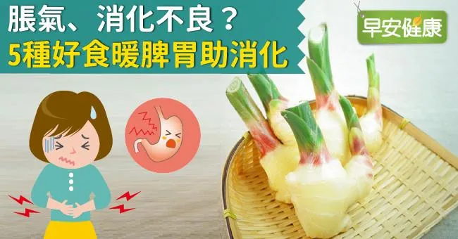脹氣、消化不良？5種好食暖脾胃助消化