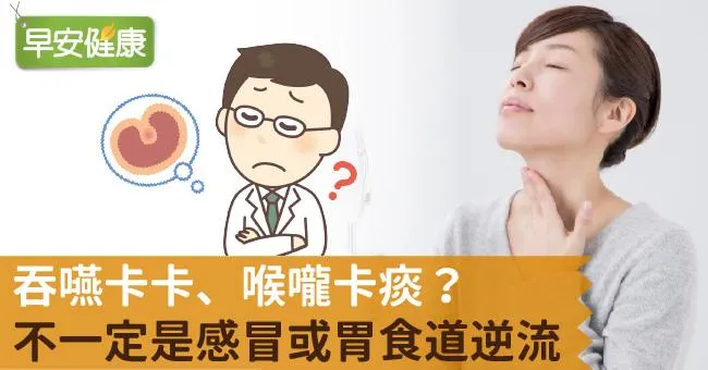 吞嚥卡卡、喉嚨卡痰？不一定是感冒或胃食道逆流！