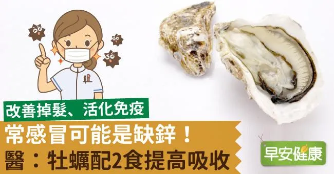常感冒可能是缺鋅！醫：牡蠣配2食提高吸收