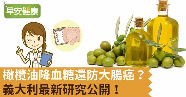 橄欖油降血糖還防大腸癌？義大利最新研究公開！