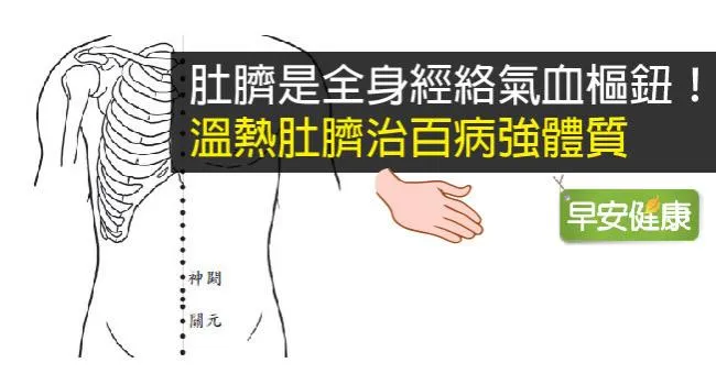 肚臍是全身經絡氣血樞鈕！溫熱肚臍治百病強體質