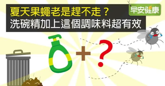 夏天果蠅老是趕不走？洗碗精加上這個調味料超有效