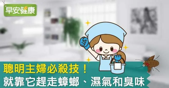 聰明主婦必殺技！就靠它趕走蟑螂、濕氣和臭味