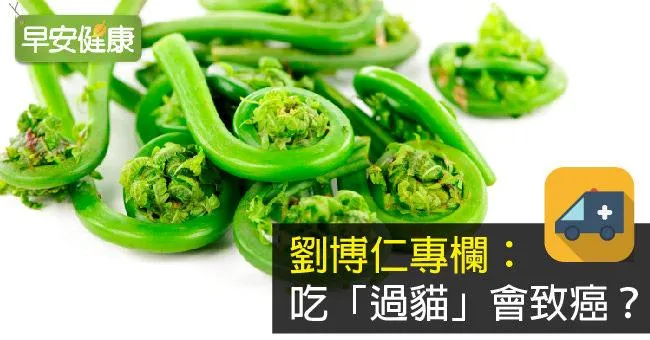 吃「過貓」會致癌？