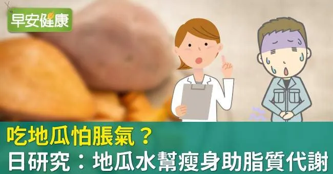 吃地瓜怕脹氣？日研究：地瓜水幫瘦身助脂質代謝