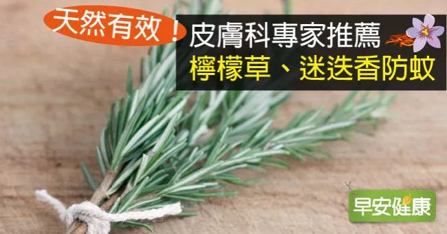 天然有效！皮膚科專家推薦檸檬草、迷迭香防蚊