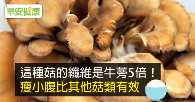 這種菇的纖維是牛蒡5倍！瘦小腹比其他菇類有效