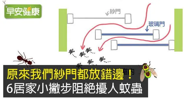 原來我們紗門都放錯邊！6居家小撇步阻絕擾人蚊蟲