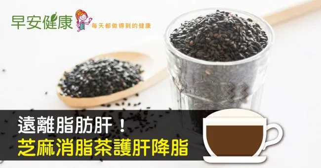 遠離脂肪肝！芝麻消脂茶護肝降脂