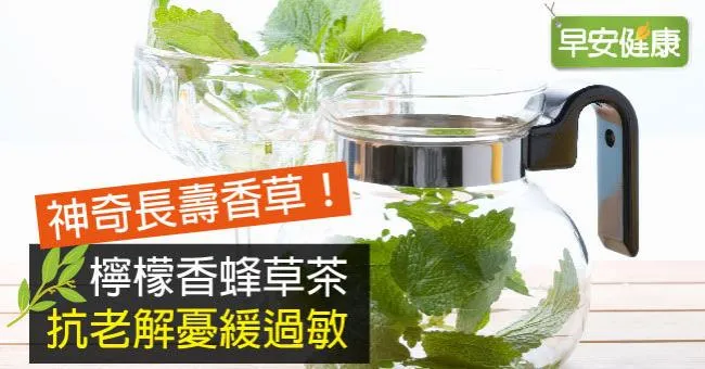 檸檬香蜂草茶抗老、緩過敏，這樣做簡單種植香蜂草