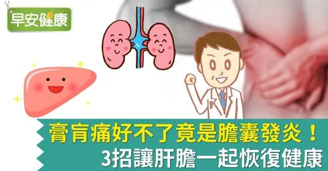 膏肓痛好不了竟是膽囊發炎！3招讓肝膽一起恢復健康