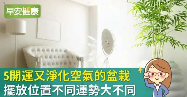 5開運又淨化空氣的盆栽，擺放位置不同運勢大不同