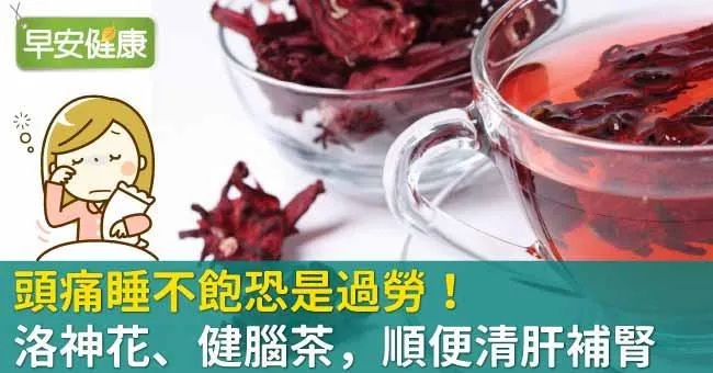 頭痛睡不飽恐是過勞！洛神花、健腦茶，順便清肝補腎