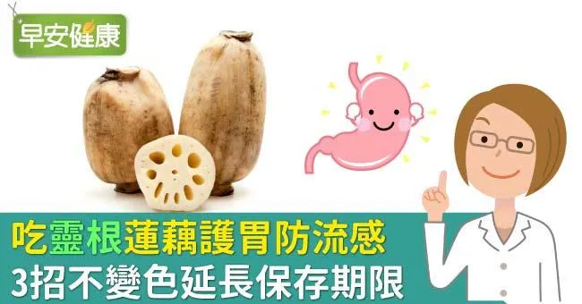 吃「靈根」蓮藕護胃防流感，3招不變色延長保存期限