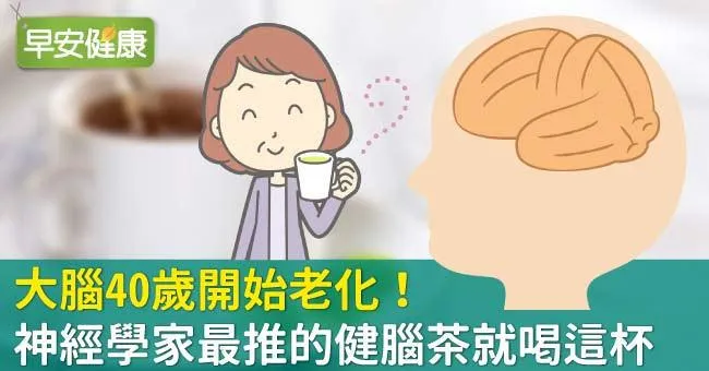 大腦40歲開始老化！神經學家最推的健腦茶就喝這杯