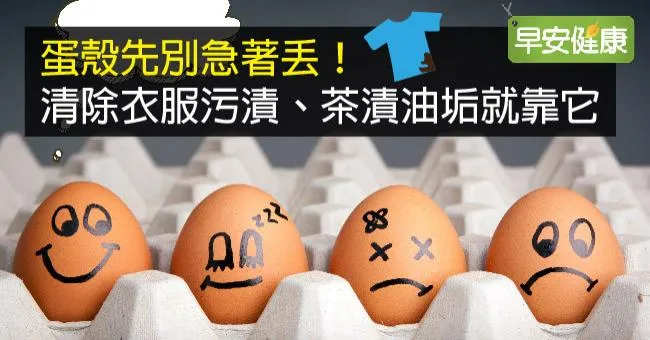 蛋殼先別急著丟！清除衣服污漬、茶漬油垢就靠它