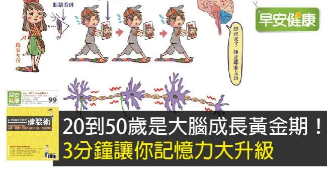 20到50歲是大腦成長黃金期！3分鐘讓你記憶力大升級