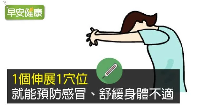 1個伸展1穴位，就能預防感冒、舒緩身體不適