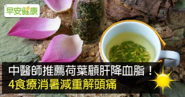 中醫師推薦荷葉顧肝降血脂！4食療消暑減重解頭痛