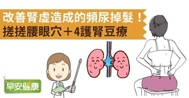 改善腎虛造成的頻尿掉髮！搓搓腰眼穴＋4護腎豆療