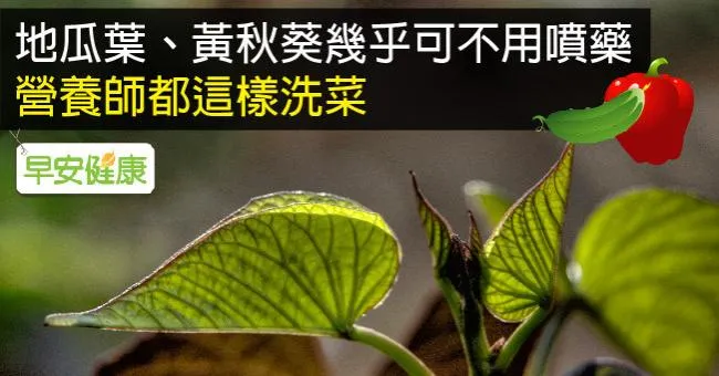 地瓜葉、黃秋葵幾乎可不用噴藥！營養師都這樣洗菜