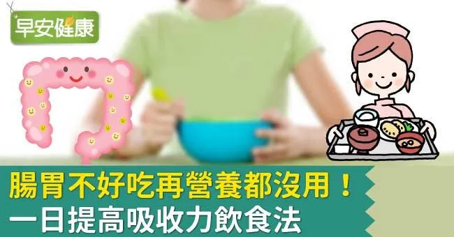 腸胃不好吃再營養都沒用！一日提高吸收力飲食法