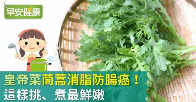 茼蒿是冬季減肥聖品！茼蒿消脂護肝防腸癌