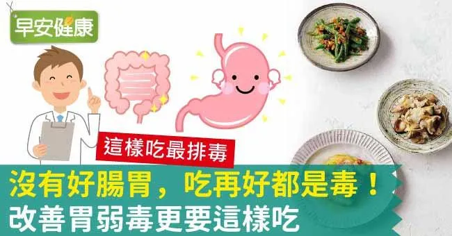 沒有好腸胃，吃再好都是毒！改善胃弱毒更要這樣吃