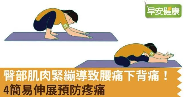 臀部肌肉緊繃導致腰痛下背痛！4簡易伸展預防疼痛