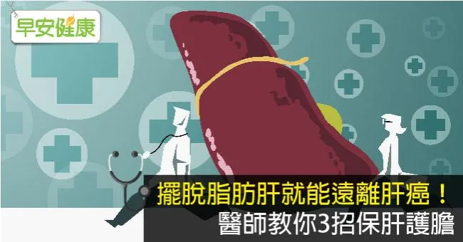 擺脫脂肪肝就能遠離肝癌！醫師教你3招保肝護膽