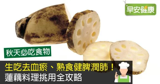 生吃去血瘀、熟食健脾潤肺！蓮藕料理挑用全攻略