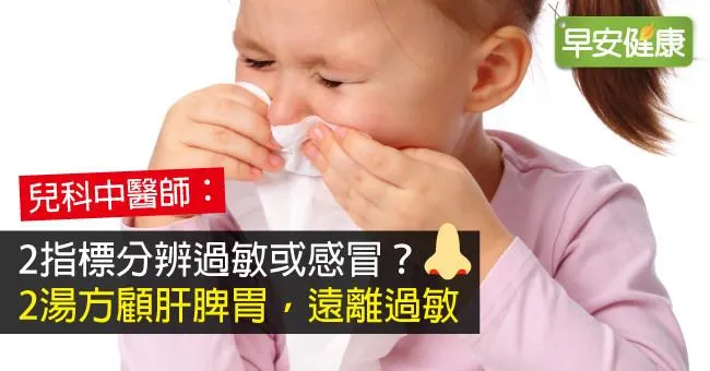 2指標分辨過敏或感冒？2湯方顧肝脾胃，遠離過敏