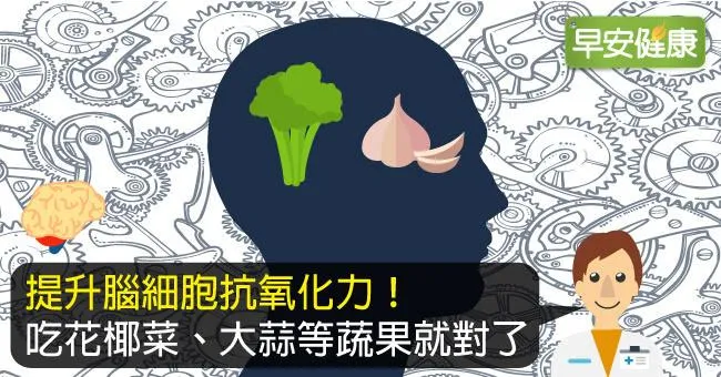 預防腦部退化的食物