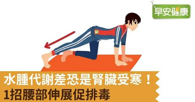 水腫代謝差恐是腎臟受寒！1招腰部伸展促排毒