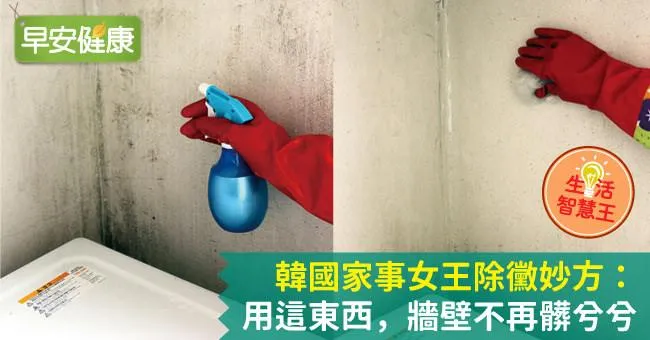 韓國家事女王除黴妙方：用這東西，牆壁不再髒兮兮