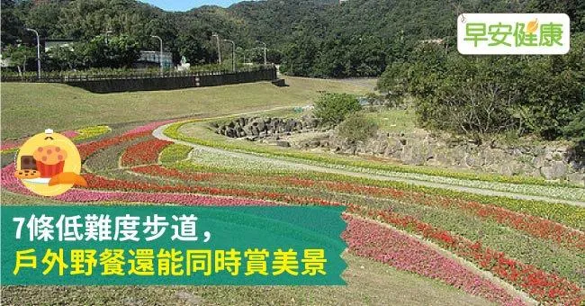 7條低難度步道，戶外野餐還能同時賞美景！