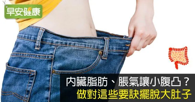 內臟脂肪、脹氣讓小腹凸？做對這些要訣擺脫大肚子