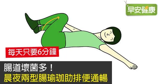 腸道壞菌多！晨夜兩型腸瑜珈助排便通暢