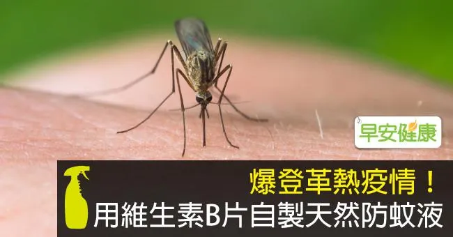 爆登革熱疫情！用維生素B片自製天然防蚊液