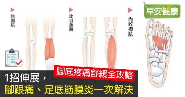 1招伸展，腳跟痛、足底筋膜炎一次解決