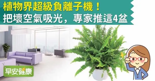 植物界超級負離子機！把壞空氣吸光，專家推這4盆