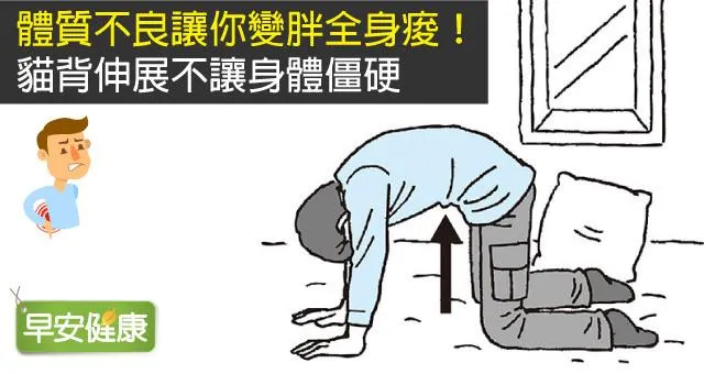 體質不良讓你變胖全身痠！貓背伸展不讓身體僵硬