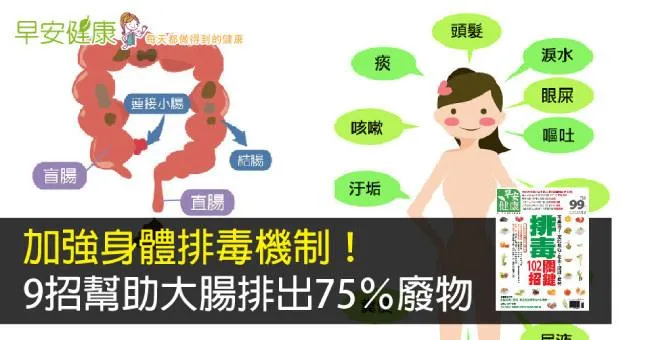 加強身體排毒機制！9招幫助大腸排出75％廢物