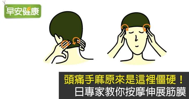 頭痛手麻原來是這裡僵硬！日專家教你按摩伸展筋膜